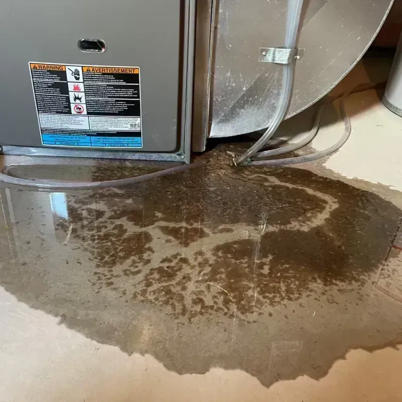 Appliance Leak Cleanup in Wakeman, OH